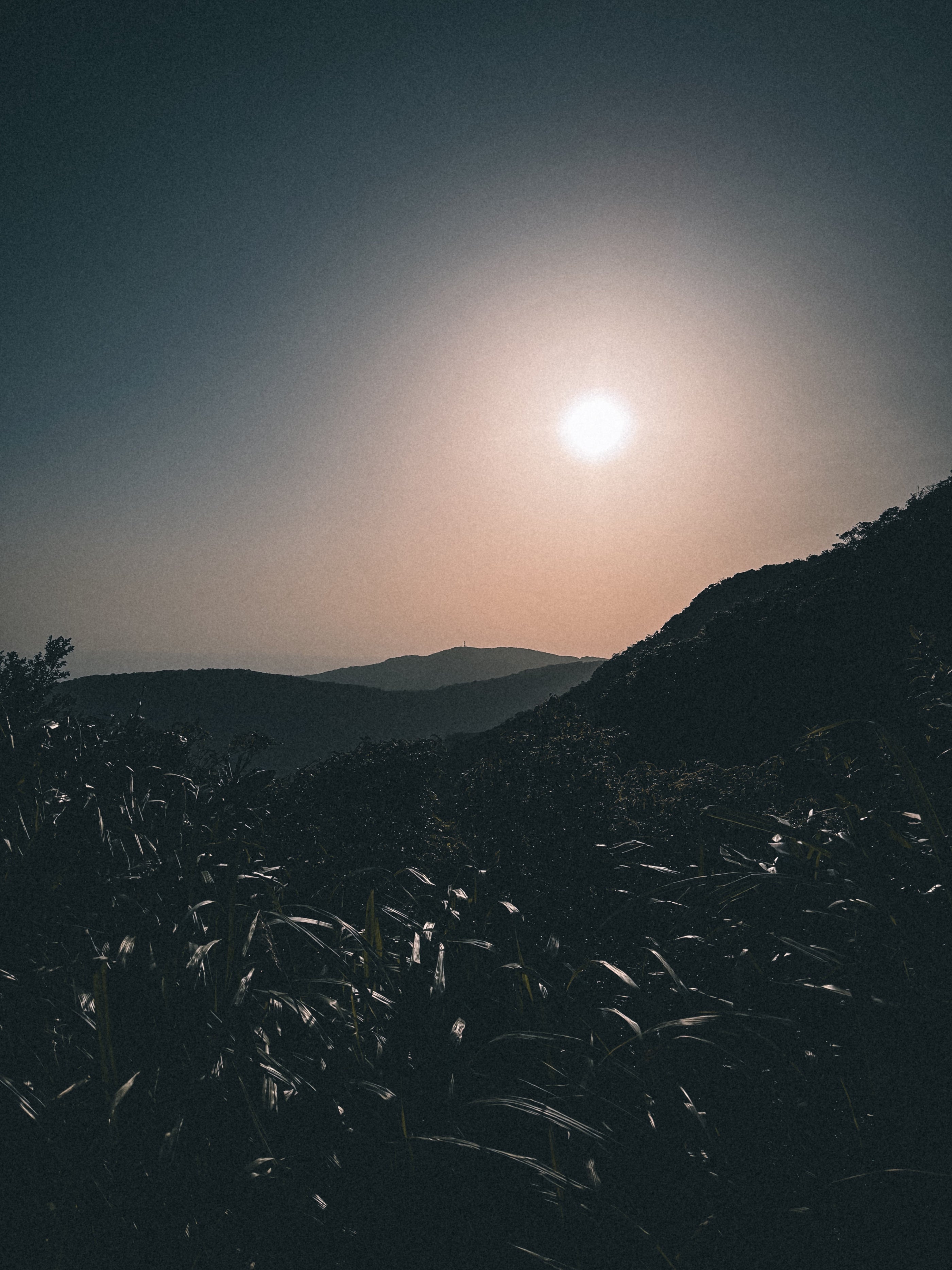 風櫃嘴 >> 士林夜市