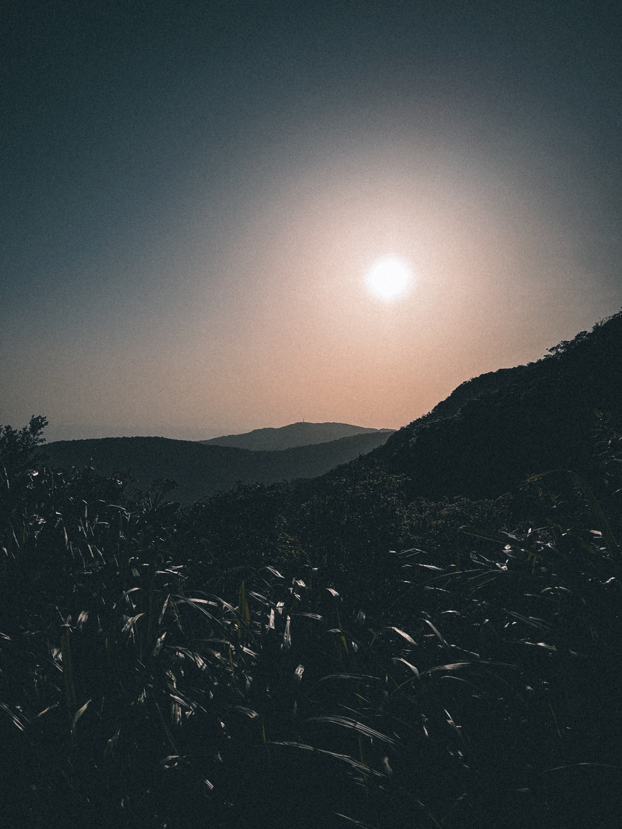 風櫃嘴 >> 士林夜市